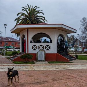 Agendamiento entrevista beca municipal